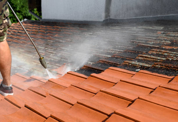 Best Power Washing Near Me  in Minneapolis, MN