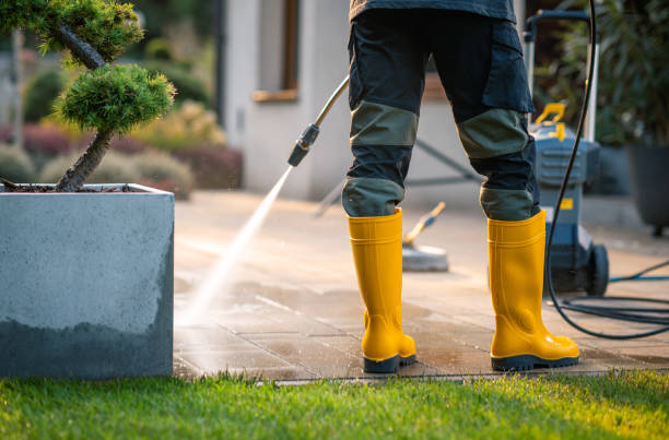 Best House Pressure Washing  in Minneapolis, MN